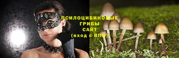 apvp Арсеньев