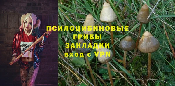 apvp Арсеньев