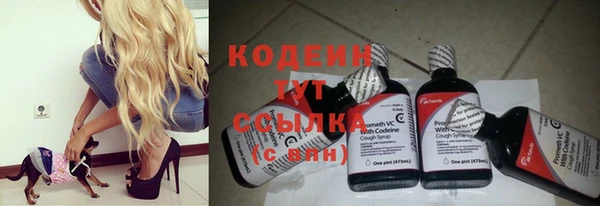 винт Аркадак