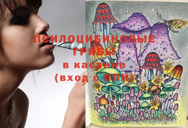 крисы Армянск