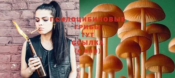 винт Аркадак