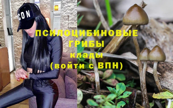 apvp Арсеньев