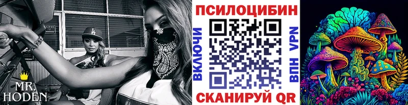 сколько стоит Нижний Новгород Псилоцибиновые грибы мицелий